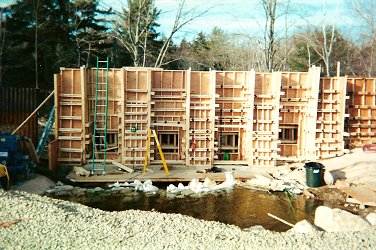 branch6.jpg (43998 bytes)