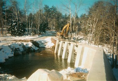 branch9.jpg (33687 bytes)