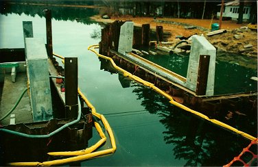 denmark2.jpg (32403 bytes)